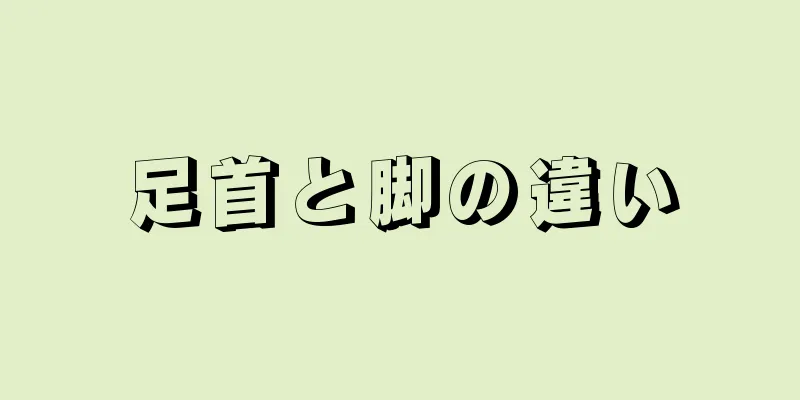 足首と脚の違い