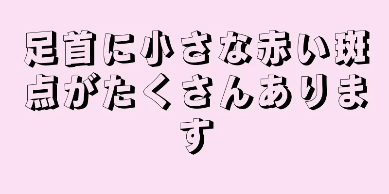 足首に小さな赤い斑点がたくさんあります