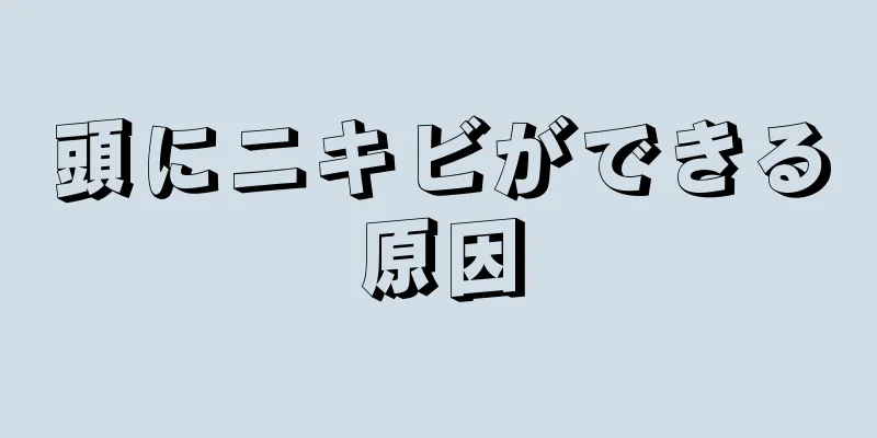 頭にニキビができる原因