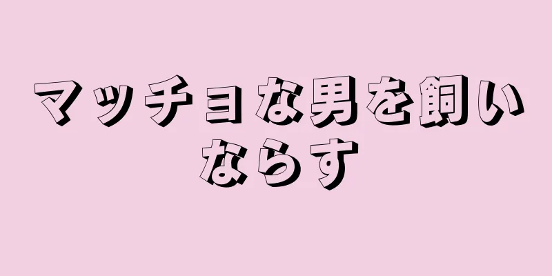 マッチョな男を飼いならす