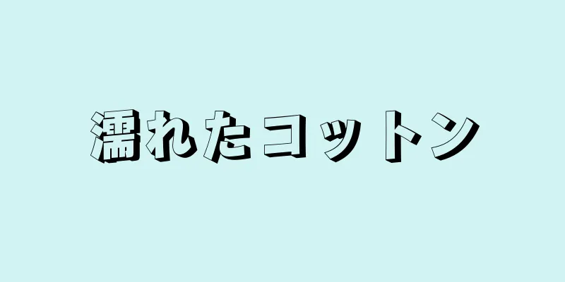 濡れたコットン