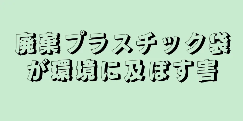 廃棄プラスチック袋が環境に及ぼす害