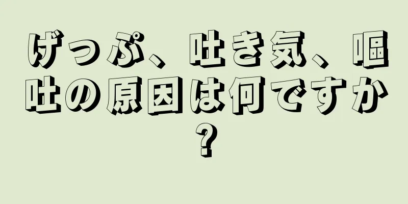 げっぷ、吐き気、嘔吐の原因は何ですか?