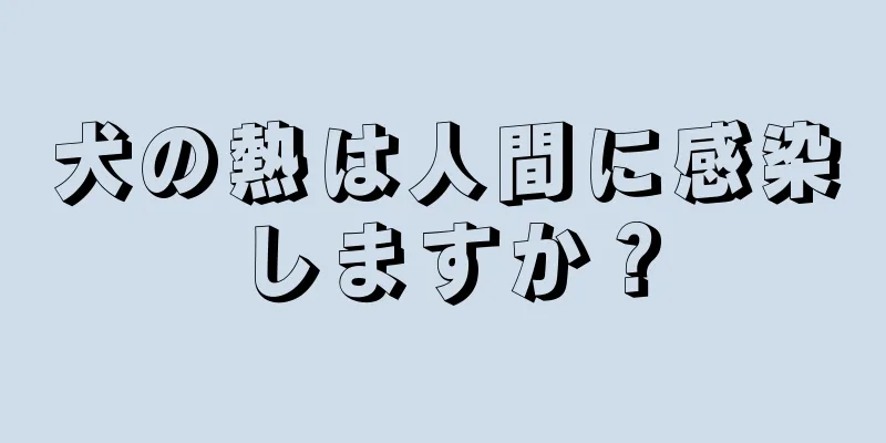 犬の熱は人間に感染しますか？