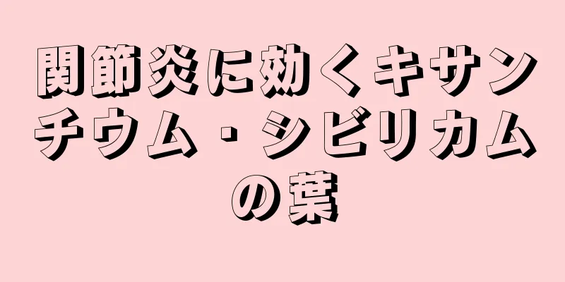 関節炎に効くキサンチウム・シビリカムの葉