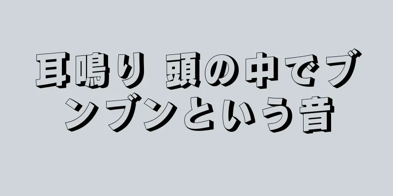 耳鳴り 頭の中でブンブンという音