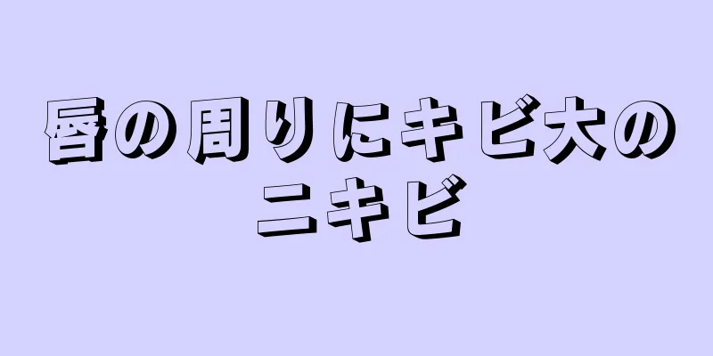 唇の周りにキビ大のニキビ