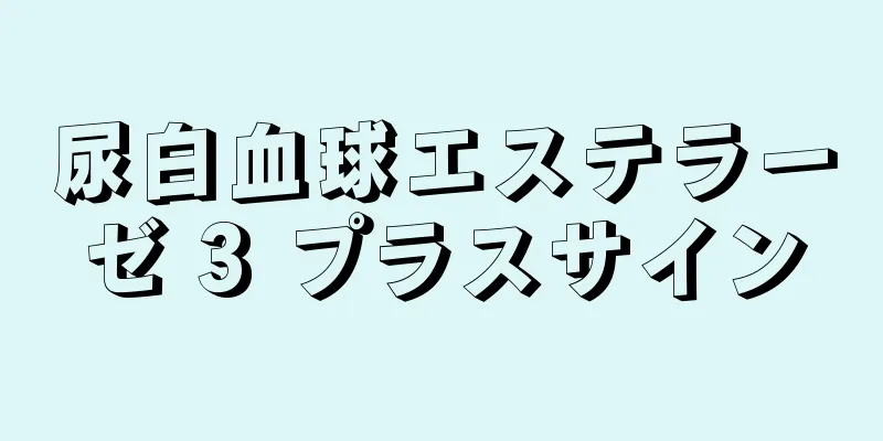 尿白血球エステラーゼ 3 プラスサイン