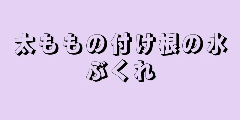 太ももの付け根の水ぶくれ