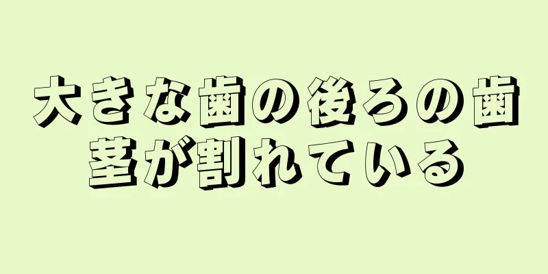 大きな歯の後ろの歯茎が割れている