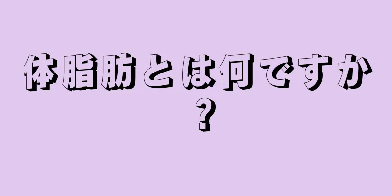 体脂肪とは何ですか？