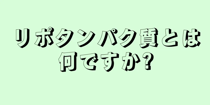 リポタンパク質とは何ですか?