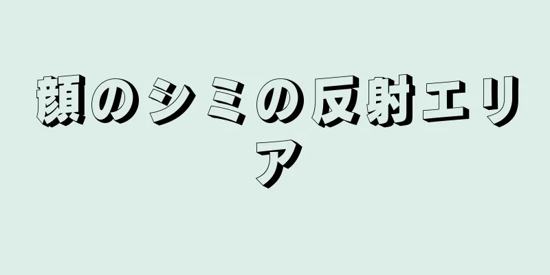 顔のシミの反射エリア