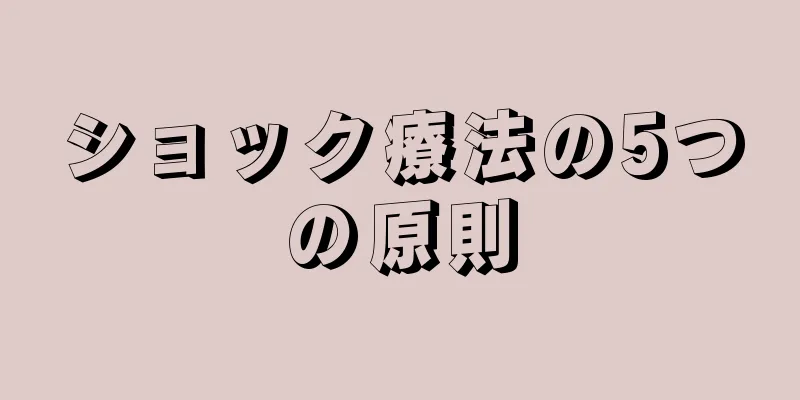 ショック療法の5つの原則