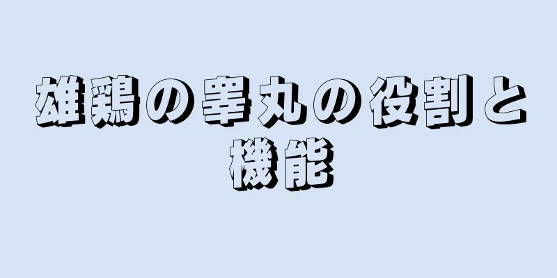 雄鶏の睾丸の役割と機能