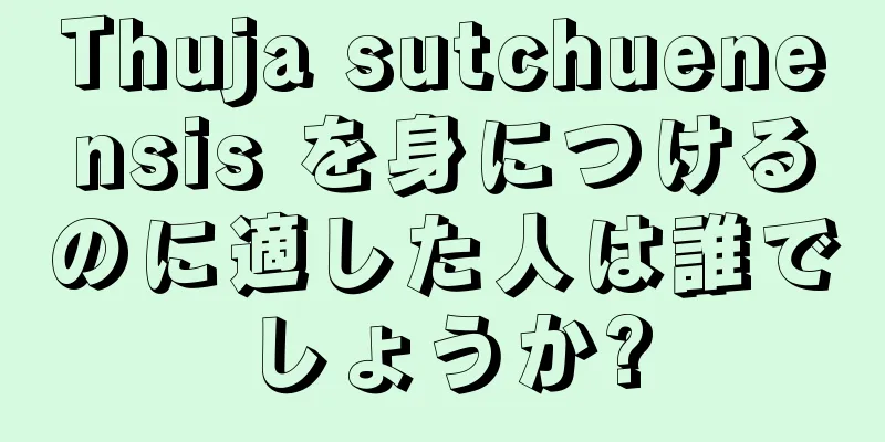 Thuja sutchuenensis を身につけるのに適した人は誰でしょうか?