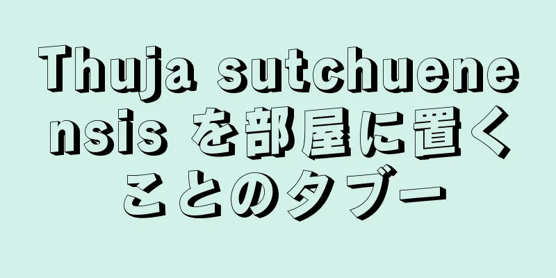 Thuja sutchuenensis を部屋に置くことのタブー