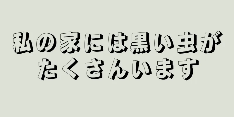 私の家には黒い虫がたくさんいます