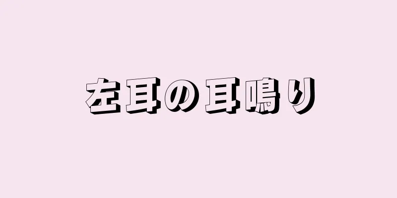 左耳の耳鳴り