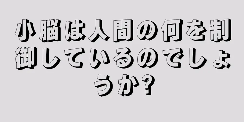 小脳は人間の何を制御しているのでしょうか?