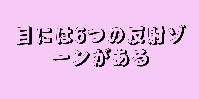 目には6つの反射ゾーンがある