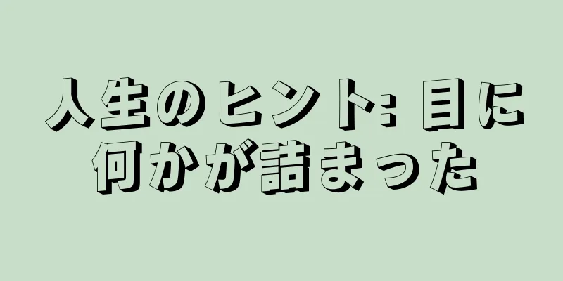 人生のヒント: 目に何かが詰まった