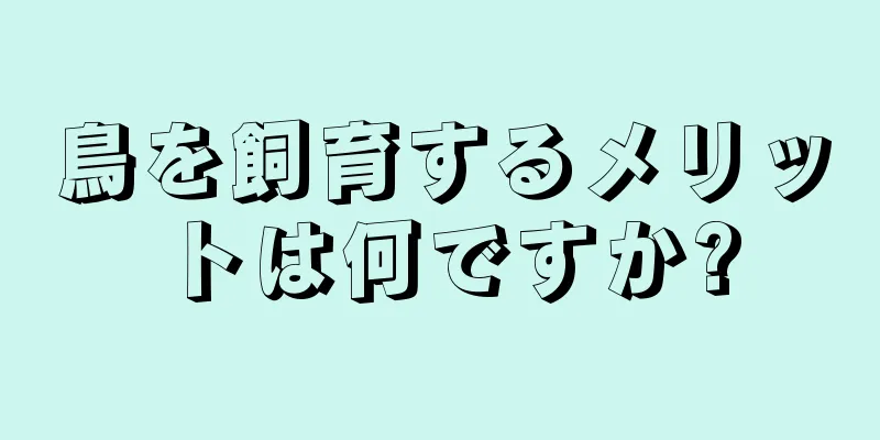 鳥を飼育するメリットは何ですか?