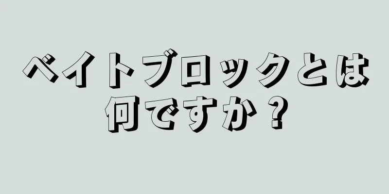 ベイトブロックとは何ですか？