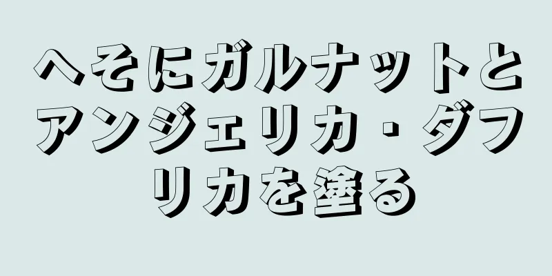 へそにガルナットとアンジェリカ・ダフリカを塗る