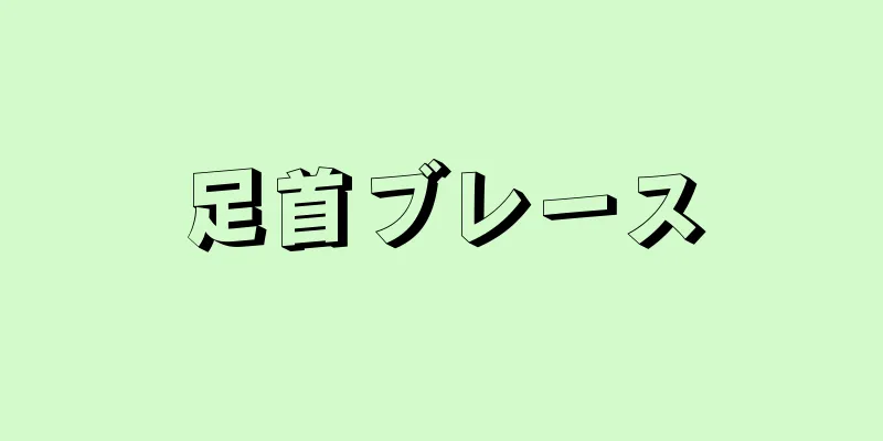 足首ブレース