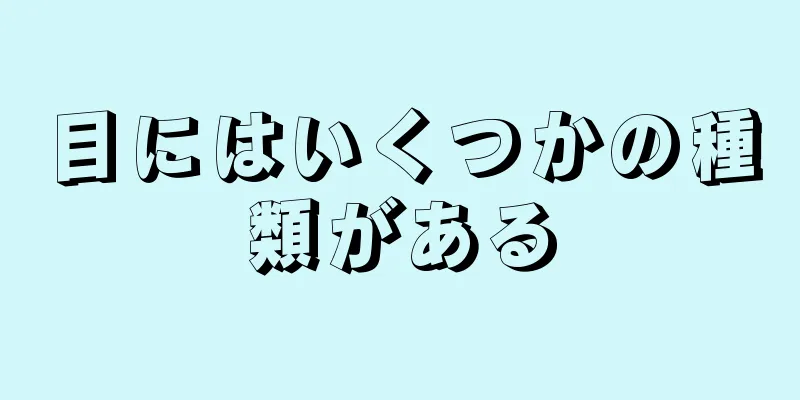 目にはいくつかの種類がある