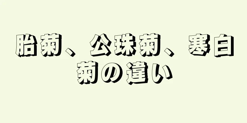 胎菊、公珠菊、寒白菊の違い