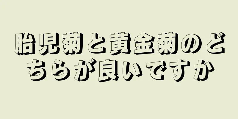 胎児菊と黄金菊のどちらが良いですか