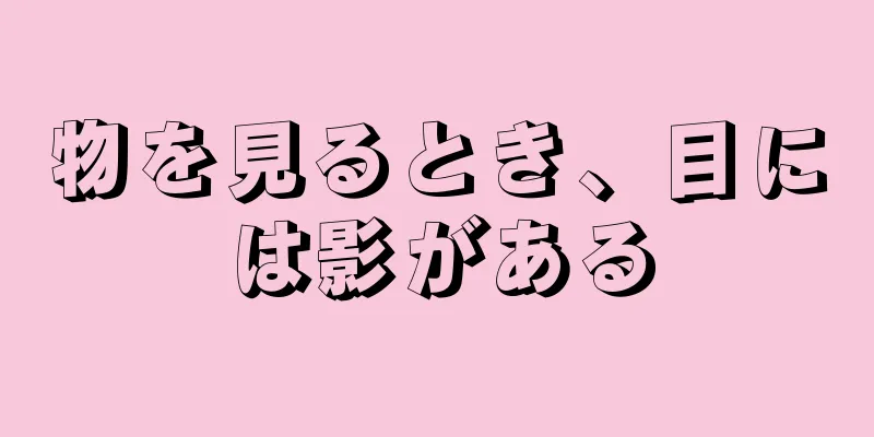 物を見るとき、目には影がある