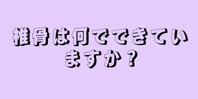 椎骨は何でできていますか？