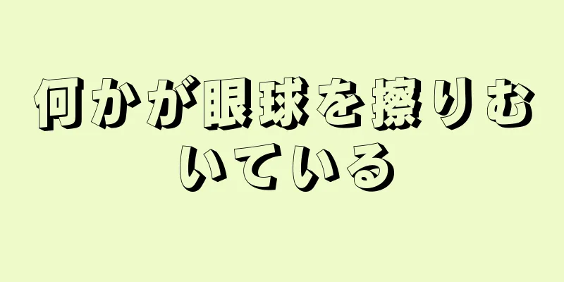 何かが眼球を擦りむいている