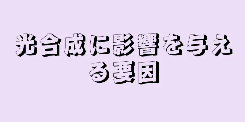 光合成に影響を与える要因