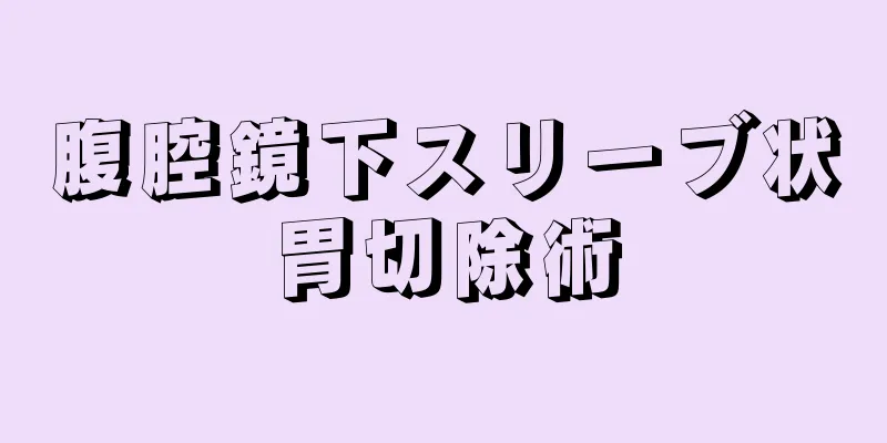 腹腔鏡下スリーブ状胃切除術