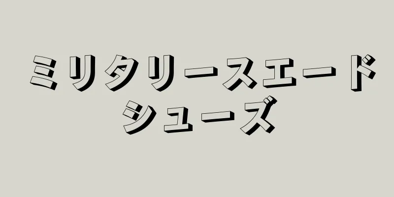 ミリタリースエードシューズ