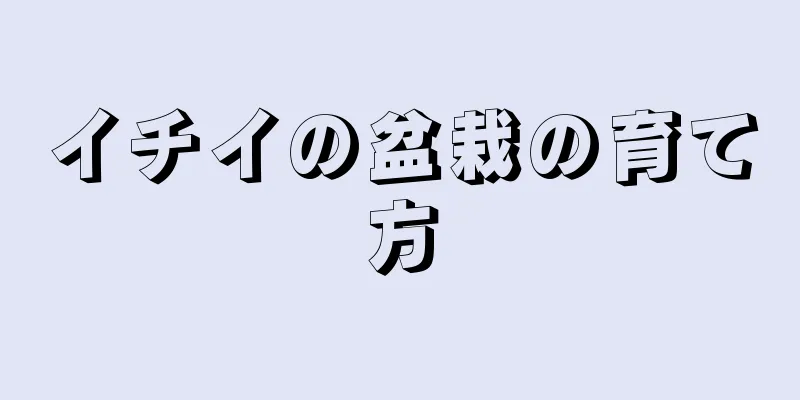 イチイの盆栽の育て方