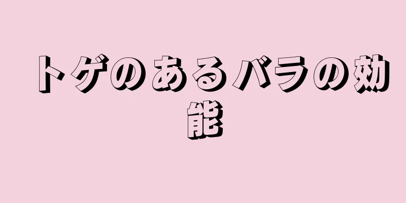 トゲのあるバラの効能