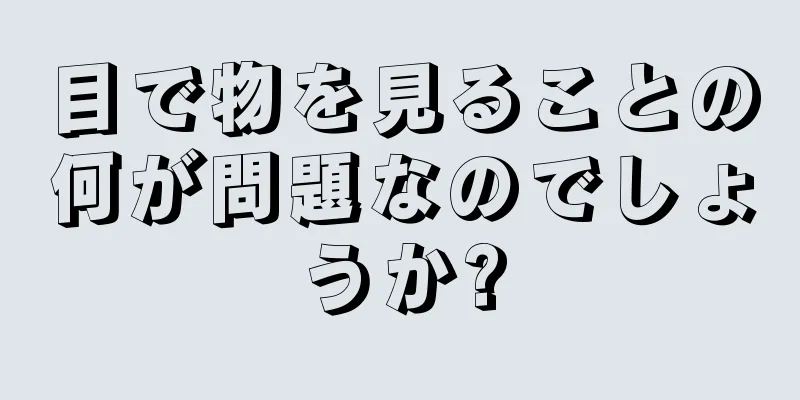 目で物を見ることの何が問題なのでしょうか?