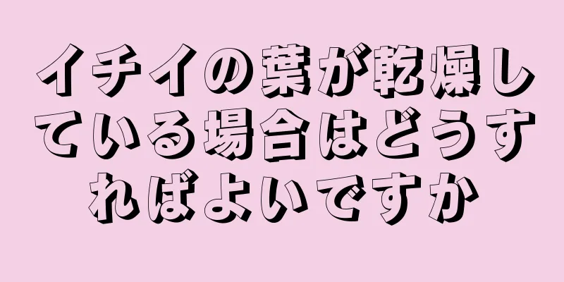 イチイの葉が乾燥している場合はどうすればよいですか