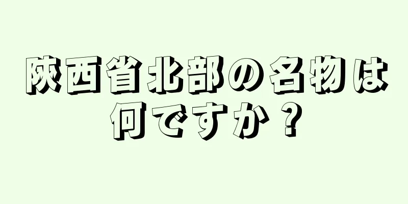 陝西省北部の名物は何ですか？