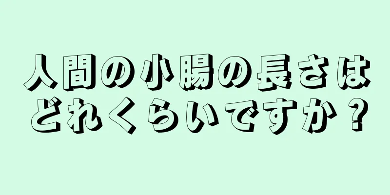 人間の小腸の長さはどれくらいですか？