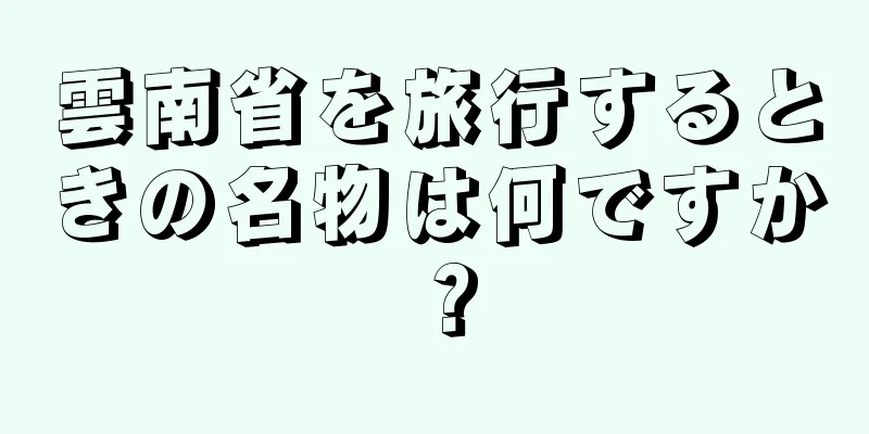 雲南省を旅行するときの名物は何ですか？