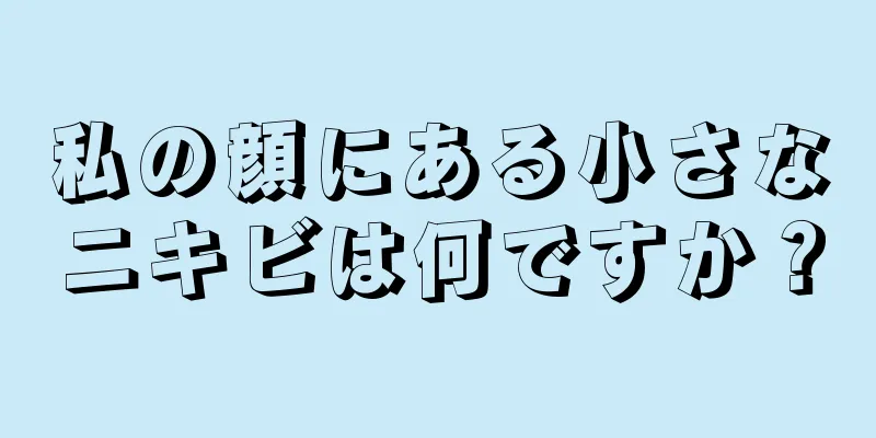 私の顔にある小さなニキビは何ですか？