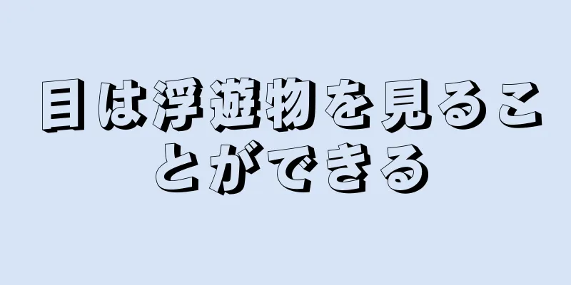 目は浮遊物を見ることができる