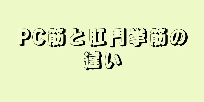 PC筋と肛門挙筋の違い