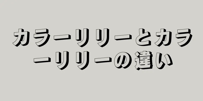 カラーリリーとカラーリリーの違い